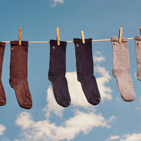 Everyday Anchor Line Crew Socks