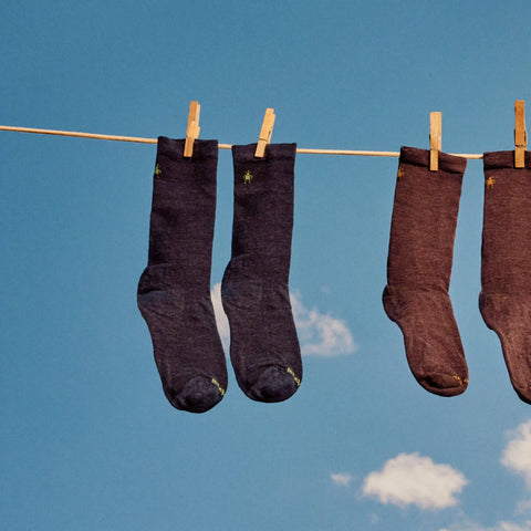 Everyday Anchor Line Crew Socks