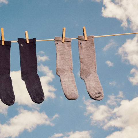 Everyday Anchor Line Crew Socks
