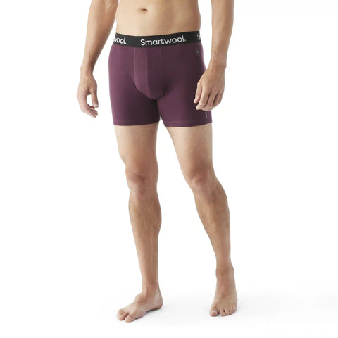 Men's Everyday Merino Boxer Brief