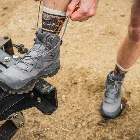Hike Bear Stripe Mid Crew Socks
